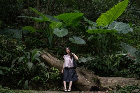 Trải nghiệm chụp ảnh tại rừng quốc gia Cúc Phương với ống kính Sirui 35mm f/1.4