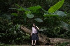 Trải nghiệm chụp ảnh tại rừng quốc gia Cúc Phương với ống kính Sirui 35mm f/1.4