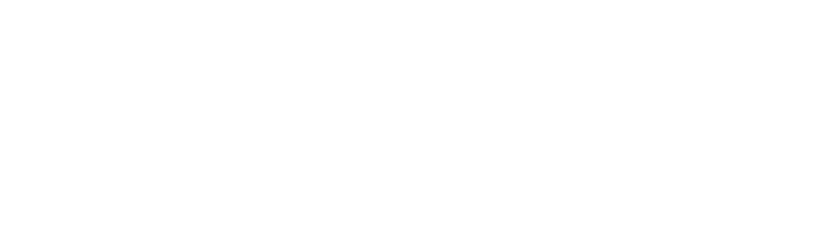 Sông Hồng Camera