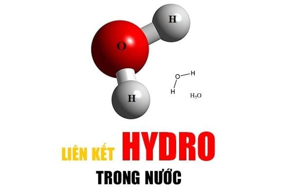 Liên kết hidro là gì? Liên kết ảnh hưởng đến tính chất nước