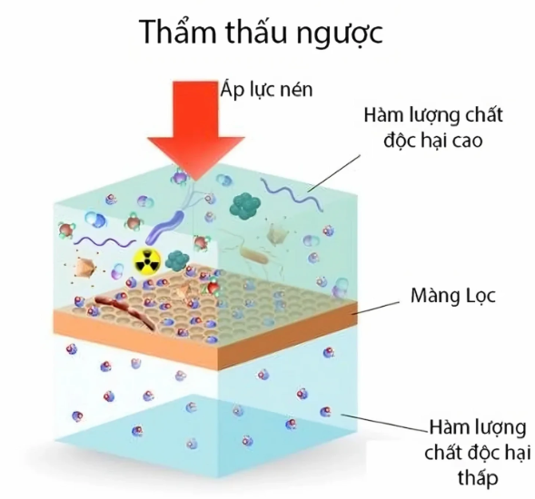 Công Nghệ Thẩm Thấu Ngược Là Gì? Ưu Nhược Điểm Và Ứng Dụng