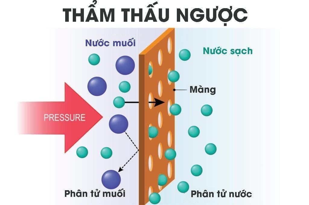 Nguyên lý thẩm thấu ngược hoạt động ra sao? Ứng dụng thực tế