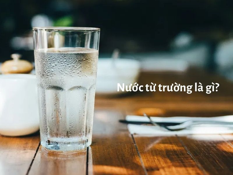 Nước từ trường là gì? Mức độ an toàn khi dùng lâu dài