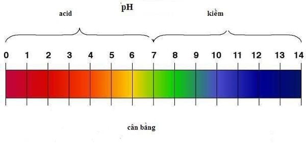 Cân bằng pH như thế nào để giúp cho cơ thể luôn khỏe mạnh