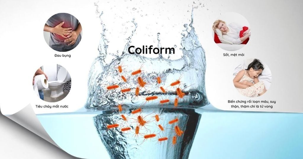 Coliform là gì? Nguyên nhân nước sinh hoạt nhiễm coliform