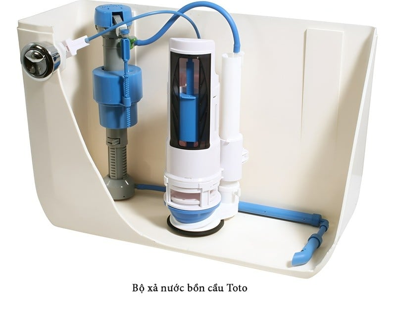 Hướng dẫn cách thay phao bồn cầu nhanh chóng, dễ thực hiện
