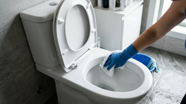 Lau khô lượng nước còn sót lại trong bồn cầu