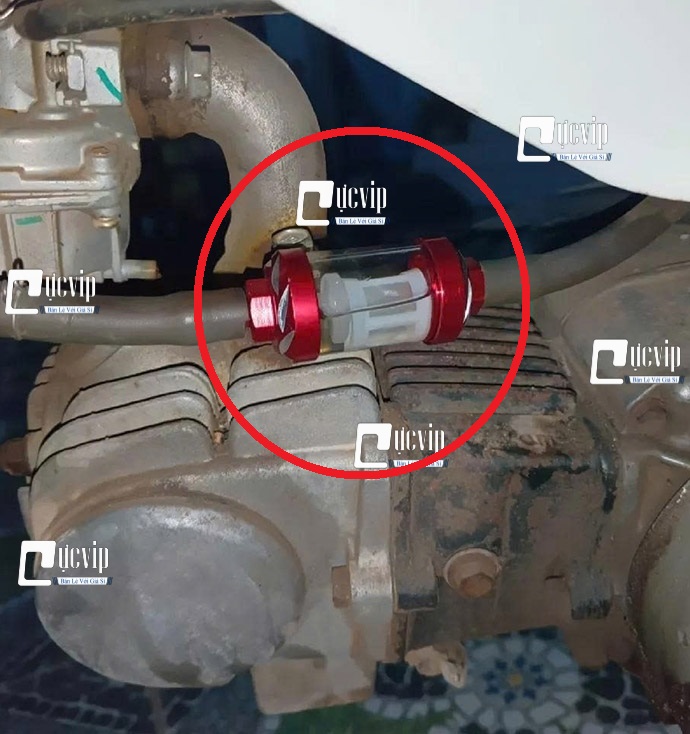 [Size Lớn] Lọc Xăng Thủy Tinh Trong Suốt Gắn Future Wave Dream Sirius Jupiter Cub MS6760