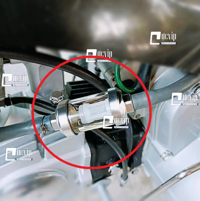 [Size Lớn] Lọc Xăng Thủy Tinh Trong Suốt Gắn Future Wave Dream Sirius Jupiter Cub MS6760