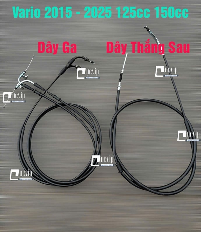 [Mẫu Theo Xe] Dây Ga + Dây Thắng Sau [Hàng Cao Cấp] Vario 2018 - 2025 (125cc 150cc) MS6782