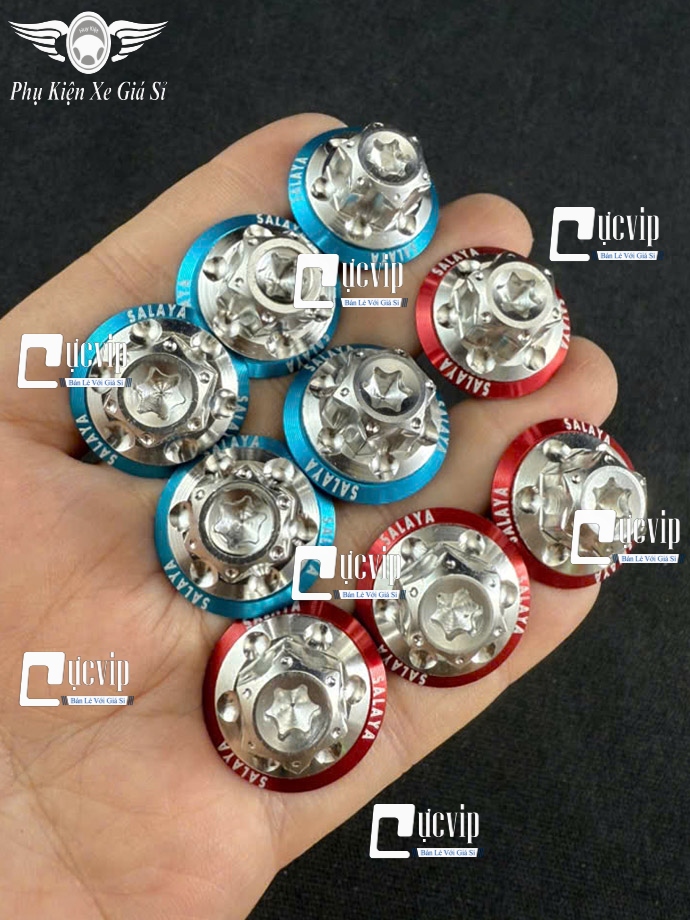 Ốc Chân Kính (Gương) Bông D3 Inox 304 [Tặng Lông Đền SALAYA] Gắn Wave, Dr, Fu, AB, Vario, PCX, Vision, SH, SH Mode, Lead, Sonic, Win, Ex, Si, NVX, Yaz (Giá 1 Ốc) MS6785