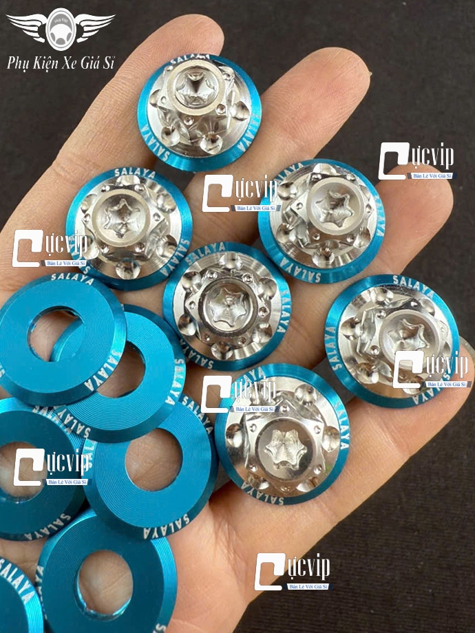 Ốc Chân Kính (Gương) Bông D3 Inox 304 [Tặng Lông Đền SALAYA] Gắn Wave, Dr, Fu, AB, Vario, PCX, Vision, SH, SH Mode, Lead, Sonic, Win, Ex, Si, NVX, Yaz (Giá 1 Ốc) MS6785