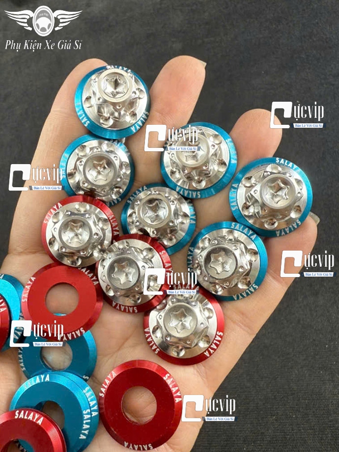 Ốc Chân Kính (Gương) Bông D3 Inox 304 [Tặng Lông Đền SALAYA] Gắn Wave, Dr, Fu, AB, Vario, PCX, Vision, SH, SH Mode, Lead, Sonic, Win, Ex, Si, NVX, Yaz (Giá 1 Ốc) MS6785