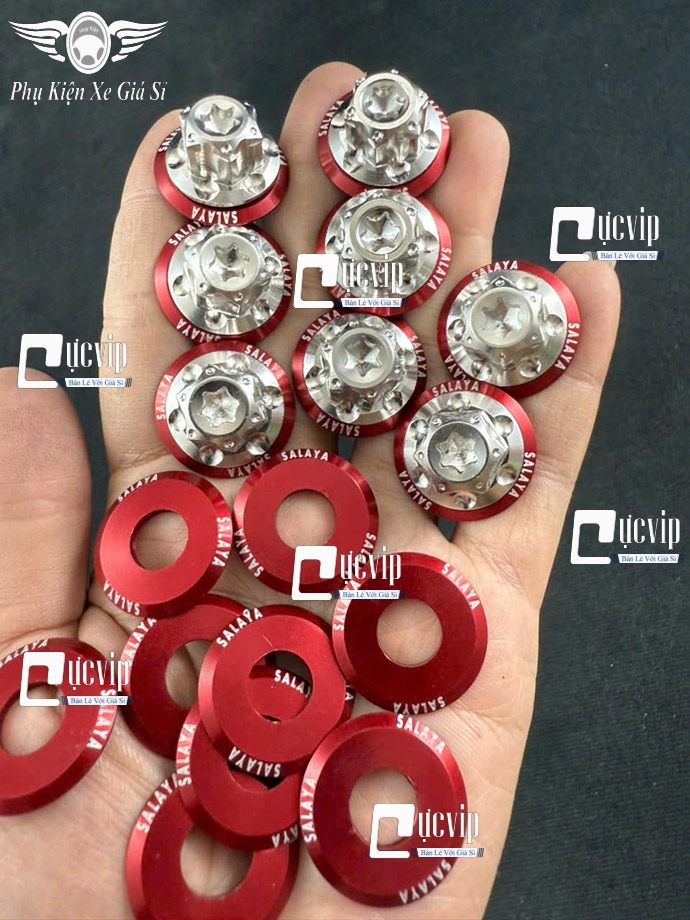 Ốc Chân Kính (Gương) Bông D3 Inox 304 [Tặng Lông Đền SALAYA] Gắn Wave, Dr, Fu, AB, Vario, PCX, Vision, SH, SH Mode, Lead, Sonic, Win, Ex, Si, NVX, Yaz (Giá 1 Ốc) MS6785