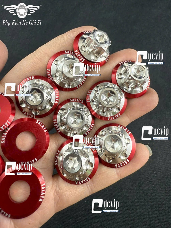 Ốc Chân Kính (Gương) Bông D3 Inox 304 [Tặng Lông Đền SALAYA] Gắn Wave, Dr, Fu, AB, Vario, PCX, Vision, SH, SH Mode, Lead, Sonic, Win, Ex, Si, NVX, Yaz (Giá 1 Ốc) MS6785