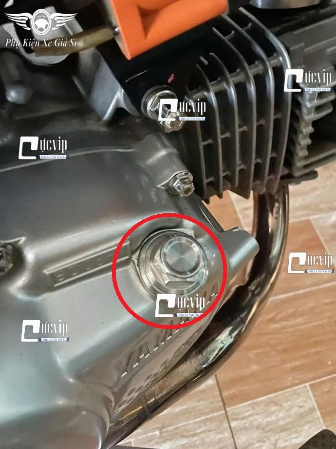 Ty Thăm Nhớt Salaya Inox 304 (D3) (Thái) Vario, Lead, Vision, AB, PCX, Stylo, Exciter 2010, Exciter 135, 150, 155, Sirius, Wave, Dream, Future, Winne V1, Winner X, Sonic MS6898