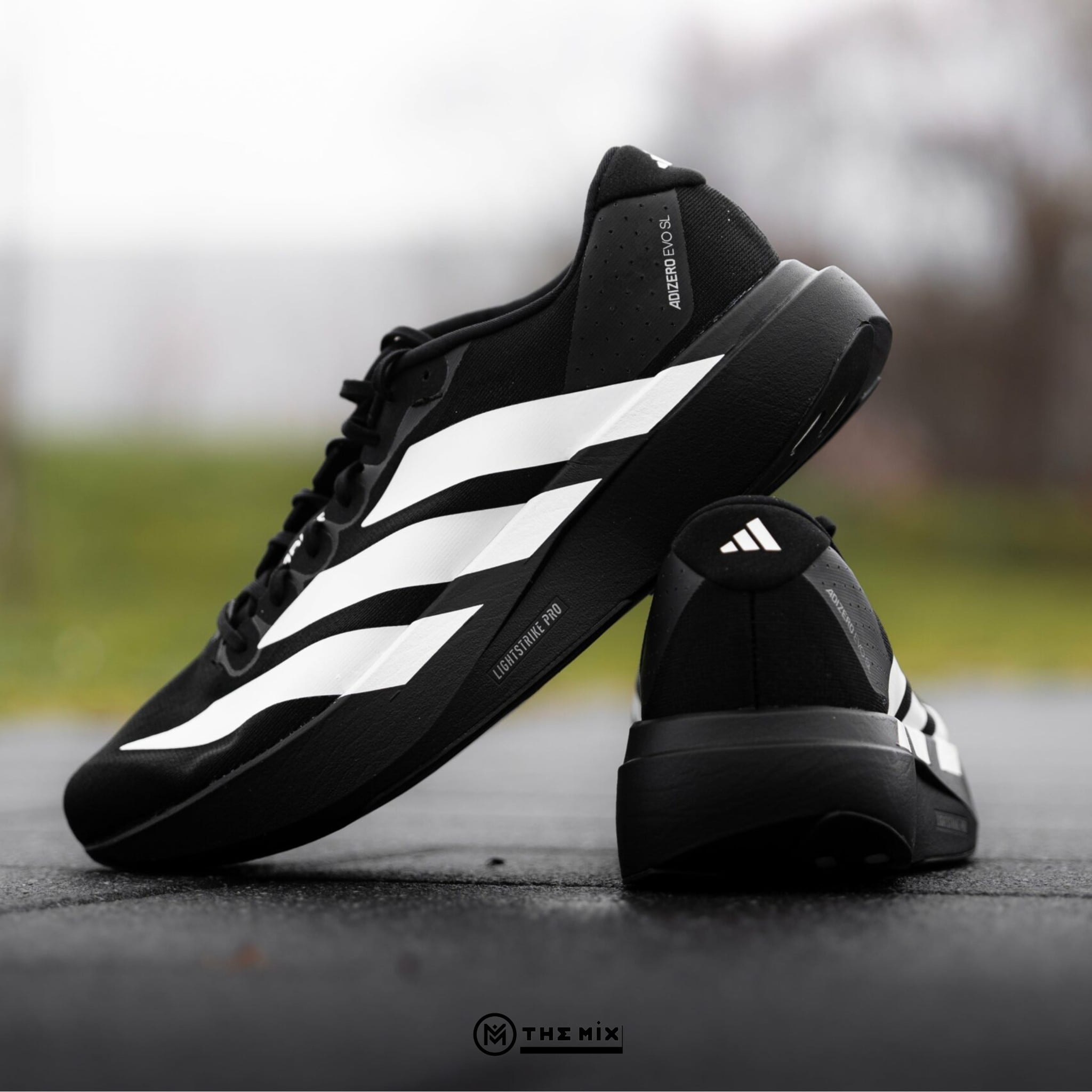 adidas Adizero Evo SL Black White - JP7149