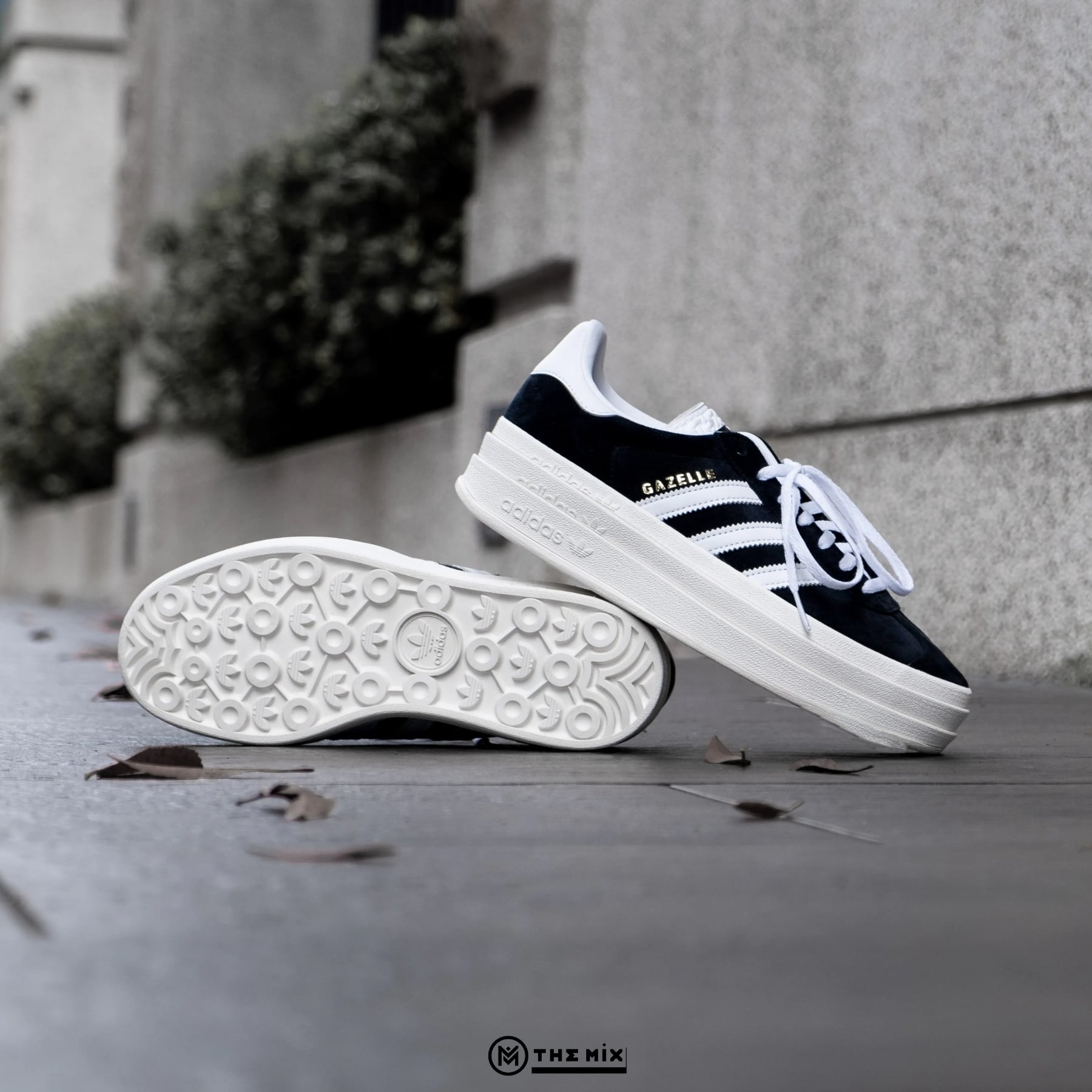 Adidas Gazelle Bold W - HQ6912 - adidas Chính Hãng - The Mix