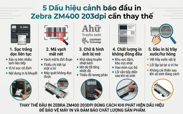 5 Dấu hiệu cảnh báo đầu in Zebra ZM400 203dpi đã hết hạn sử dụng cần thay thế