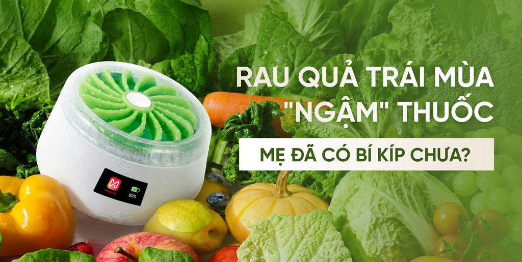RAU CỦ QUẢ TRÁI MÙA NGẬM THUỐC: MẸ ĐÃ CÓ BÍ KÍP BẢO VỆ GIA ĐÌNH CHƯA?