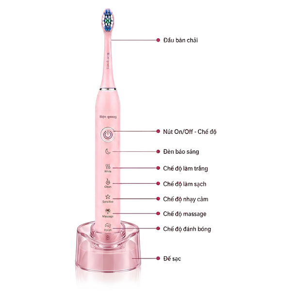 Các chế độ bàn chải điện cao cấp Điện Quang
