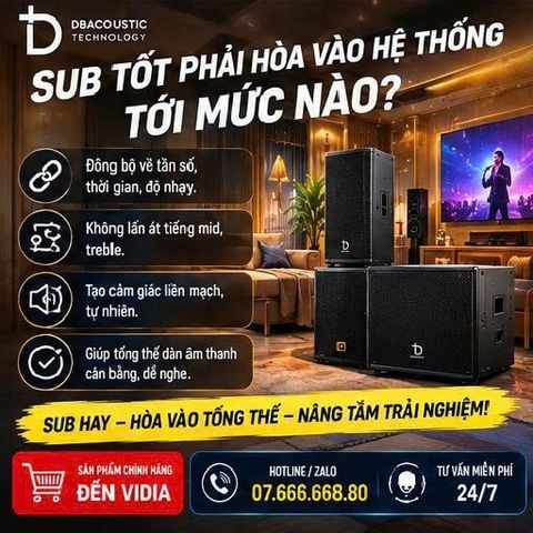 Sub Tốt Phải Hòa Vào Hệ Thống Tới Mức Nào?