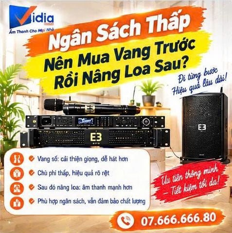 Ngân Sách Thấp Nên Mua Vang Trước Rồi Nâng Loa Sau?