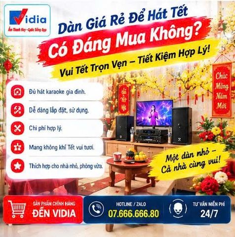 Dàn Giá Rẻ Để Hát Tết Có Đáng Mua Không?
