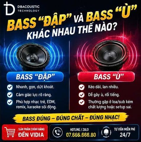 Bass 