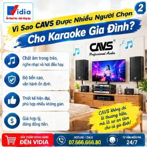 Vì Sao CAVS Được Nhiều Người Chọn Cho Karaoke Gia Đình?