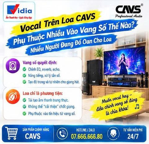 Vocal Trên Loa CAVS Phụ Thuộc Nhiều Vào Vang Số Thế Nào? Nhiều Người Đang Đổ Oan Cho Loa