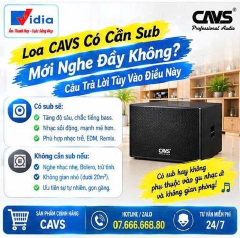 Loa CAVS Có Cần Sub Mới Nghe Đầy Không? Câu Trả Lời Tùy Vào Điều Này