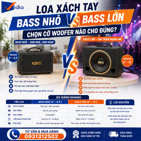 Loa Xách Tay Bass Nhỏ vs Bass Lớn — Chọn Cỡ Woofer Nào Cho Đúng?