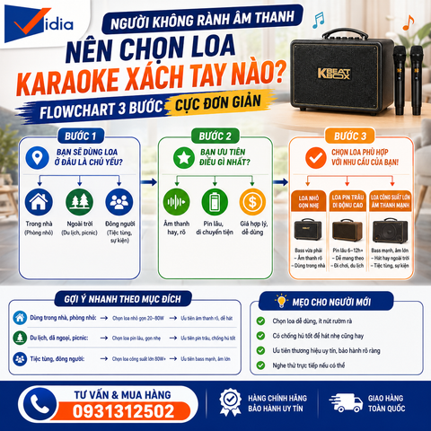 Người Không Rành Âm Thanh Nên Chọn Loa Karaoke Xách Tay Nào? Flowchart 3 Bước Cực Đơn Giản