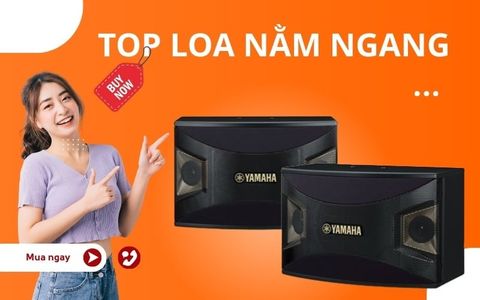 Bí mật của tiếng Bass: Tại sao loa ngang ít gây rung tường hơn loa Full khi hát karaoke?