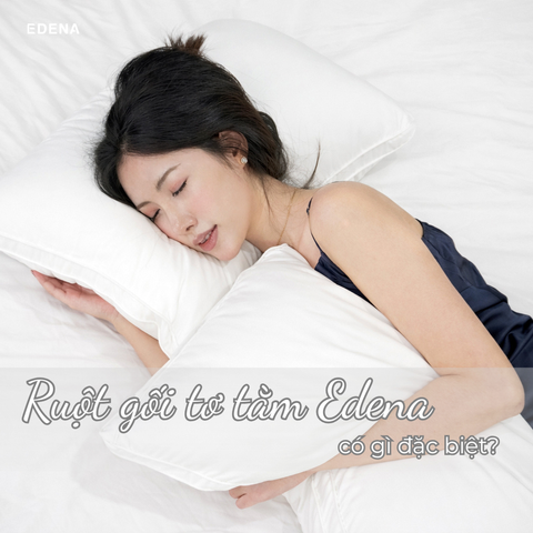 Ruột gối tơ tằm Edena có gì đặc biệt? Vì sao nhiều người lựa chọn