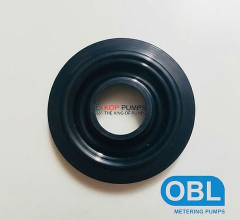 Khi nào cần thay phụ tùng bơm định lượng OBL? Dấu hiệu kỹ thuật không nên bỏ qua.