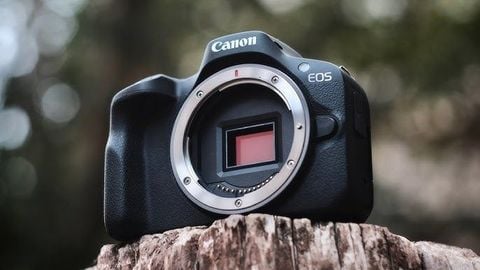 Top Máy Ảnh Canon Quay Vlog Đáng Mua Nhất 2026 Cho Người Mới Bắt Đầu