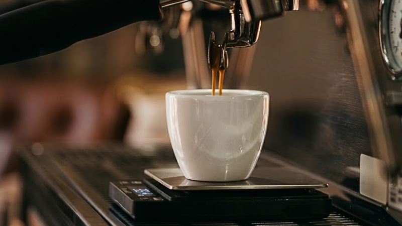 Hướng Dẫn Chọn Size Ly Chuẩn Cho Cappuccino, Latte Art Và Espresso