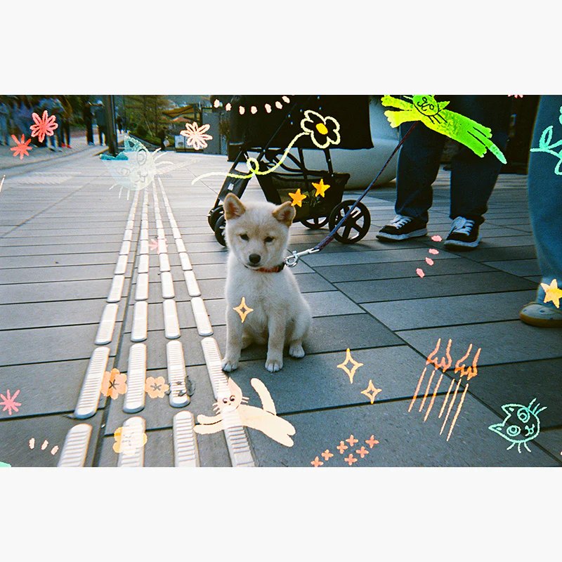 Disposable cat cha, Retocolor Cat'cha, máy ảnh chụp 1 lần