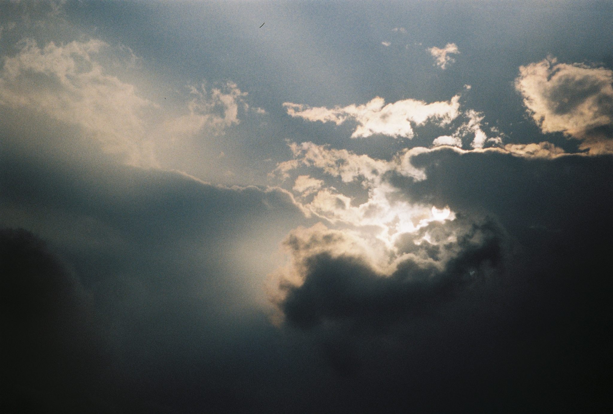 Kodak Portra 800, film cuộn 35mm