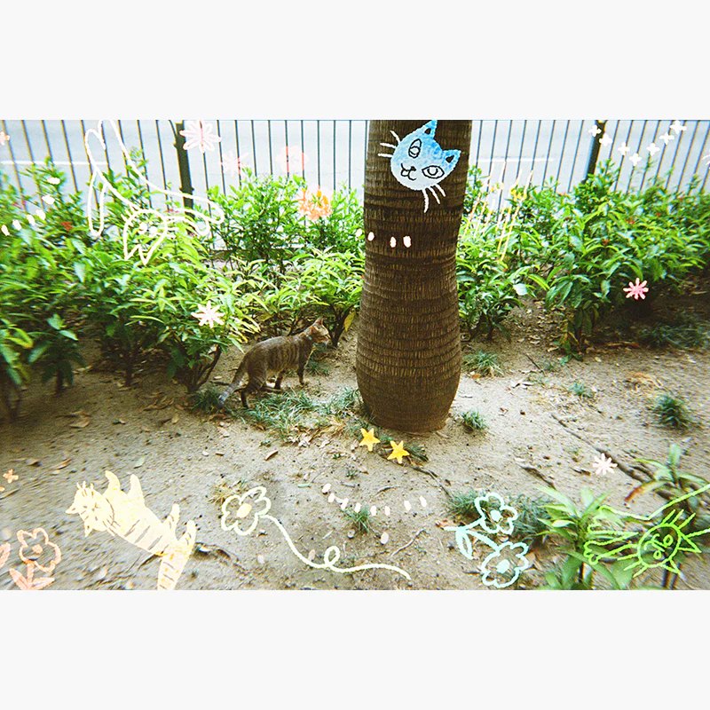 Disposable cat cha, Retocolor Cat'cha, máy ảnh chụp 1 lần