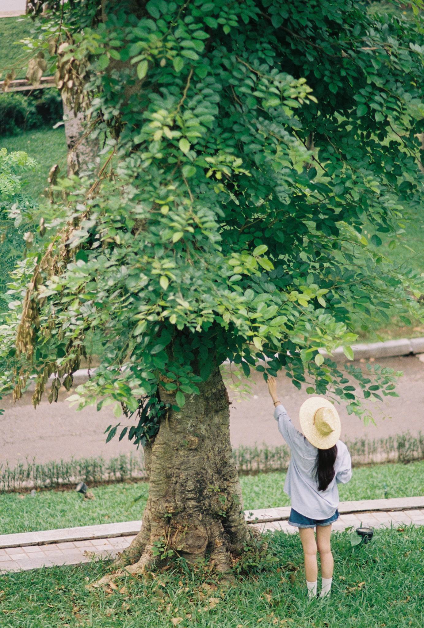 Kodak Portra 800, film cuộn 35mm