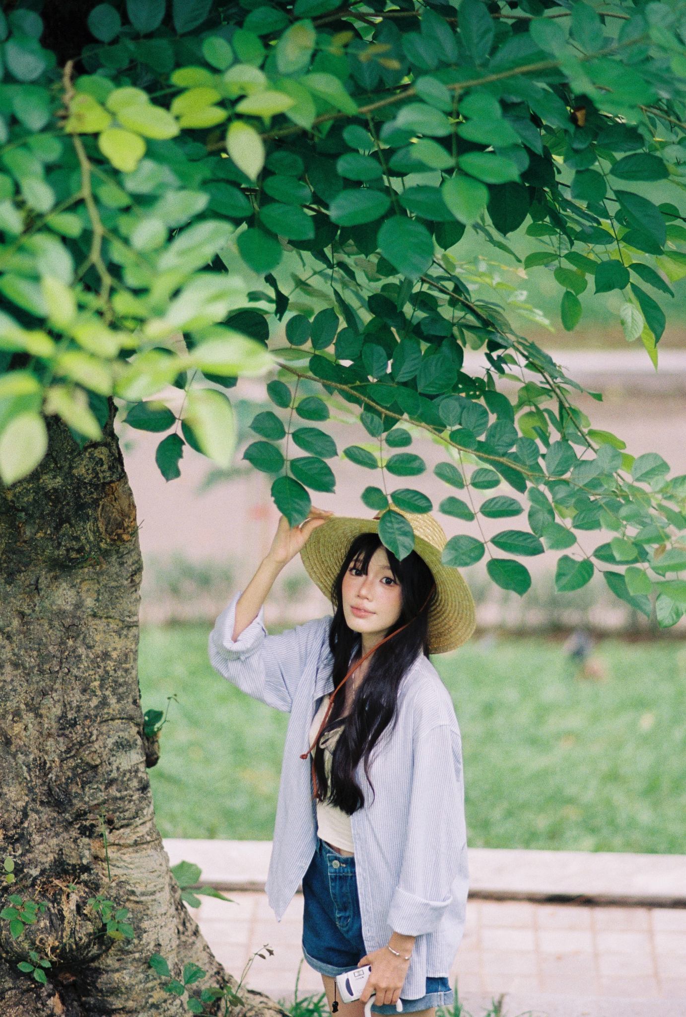 Kodak Portra 800, film cuộn 35mm