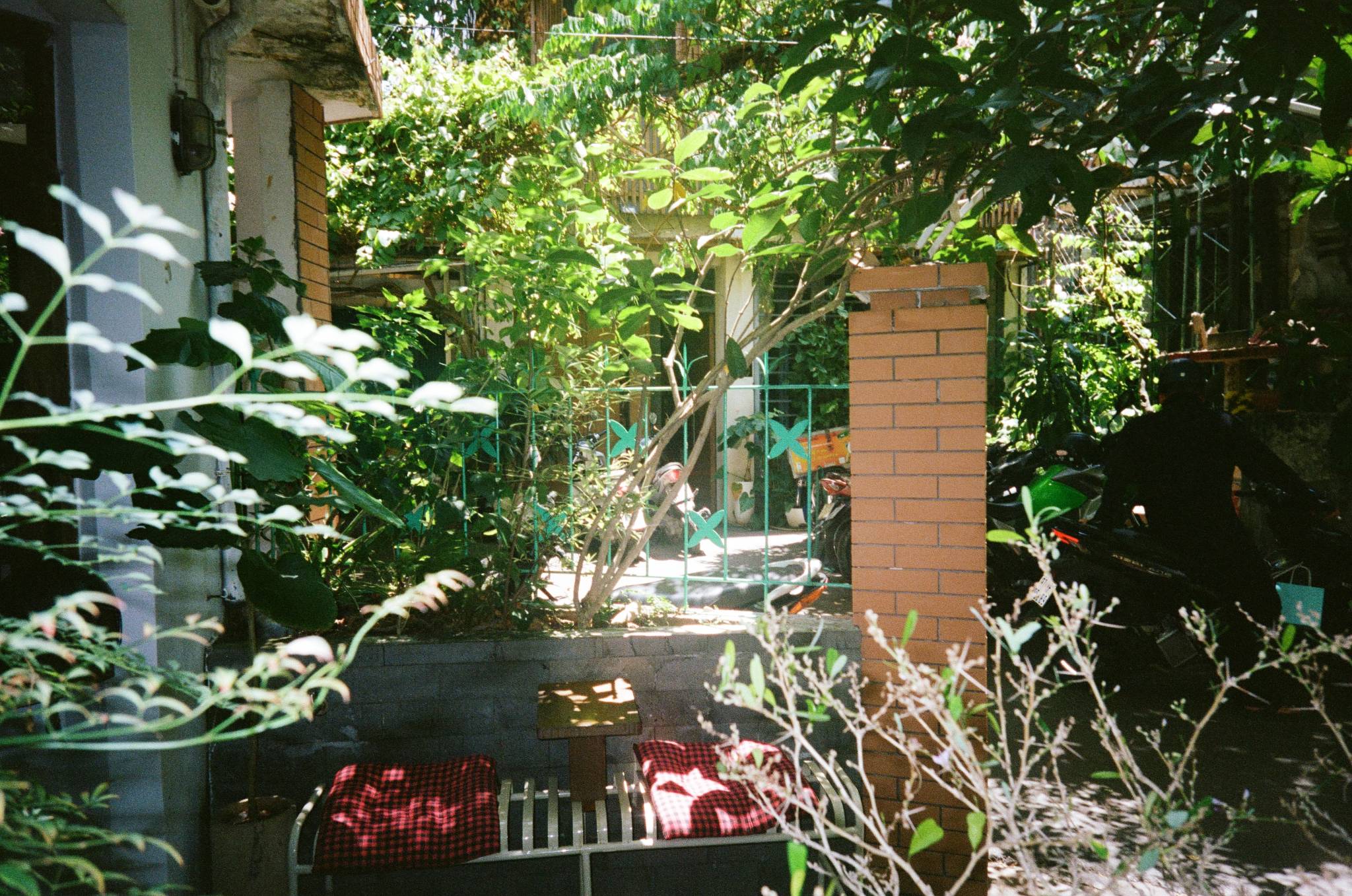Kodak Portra 400, film cuộn 35mm