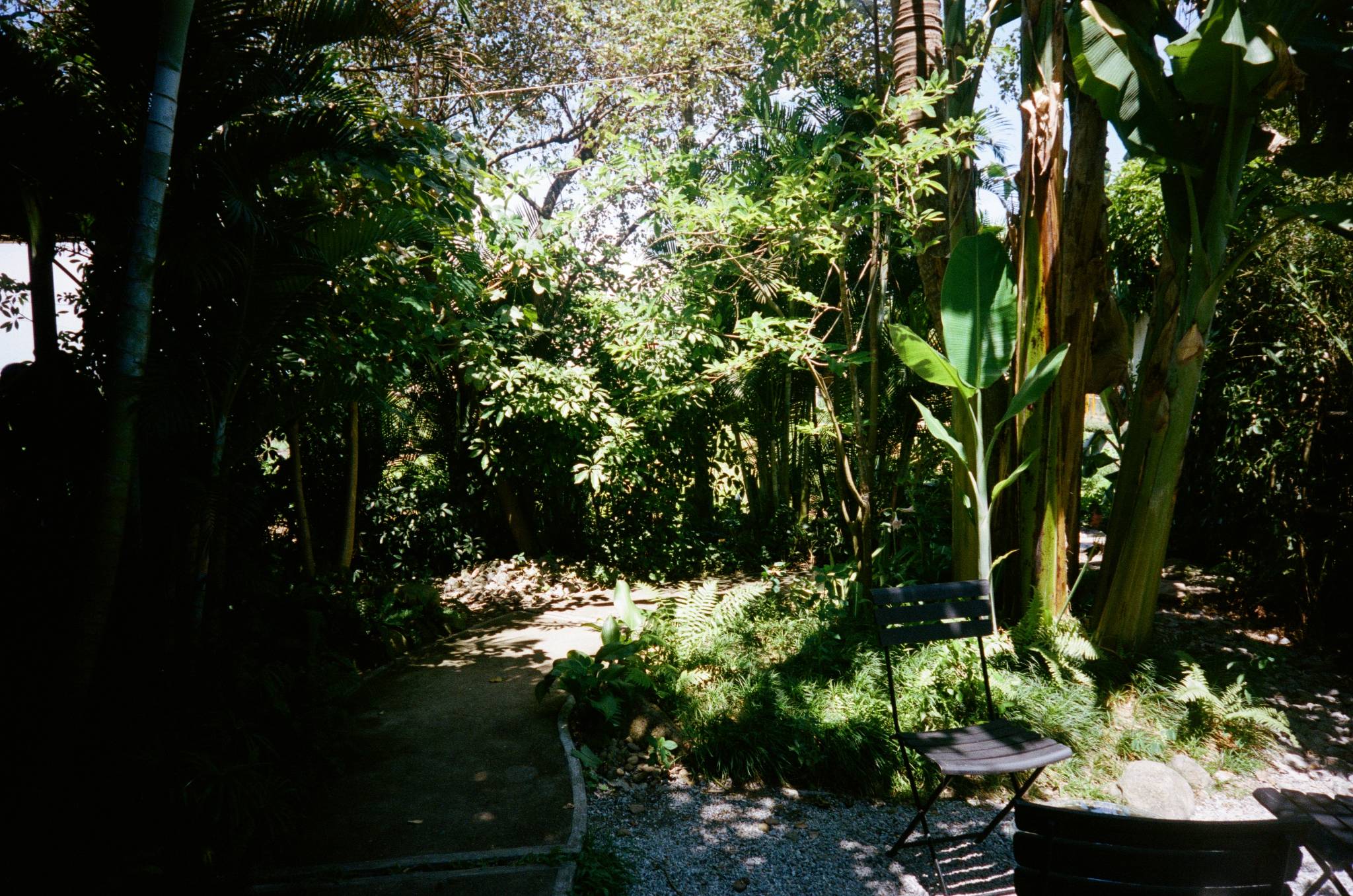 Kodak Portra 400, film cuộn 35mm