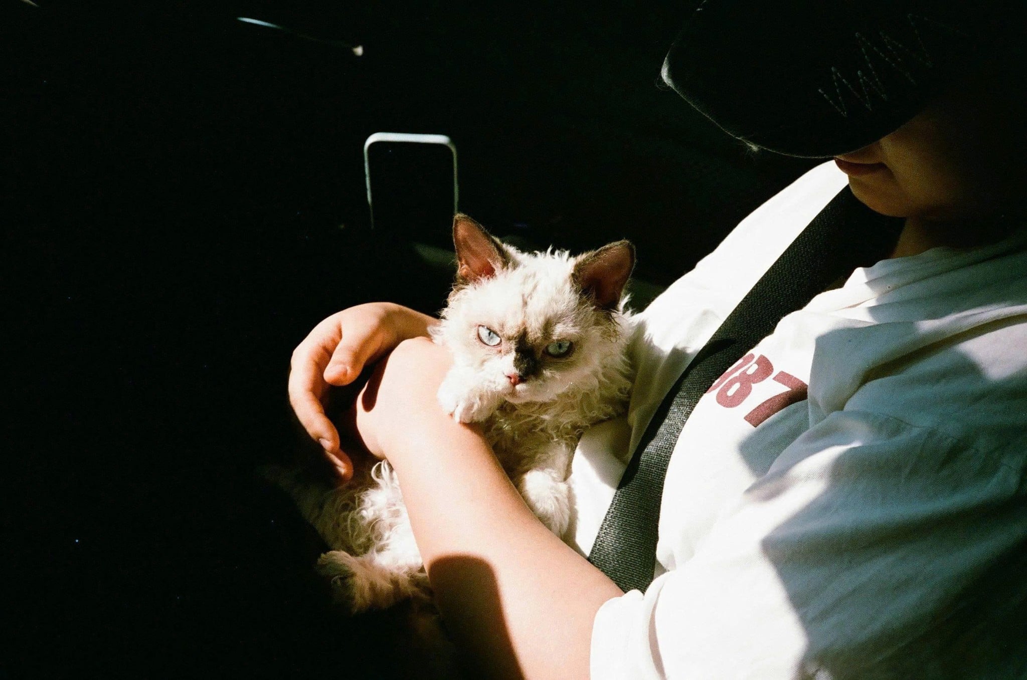 lucky 200, film 35mm
