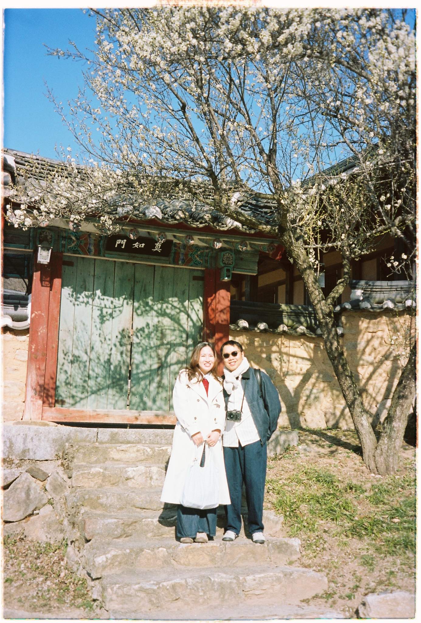 Kodak Portra 160, portra 160