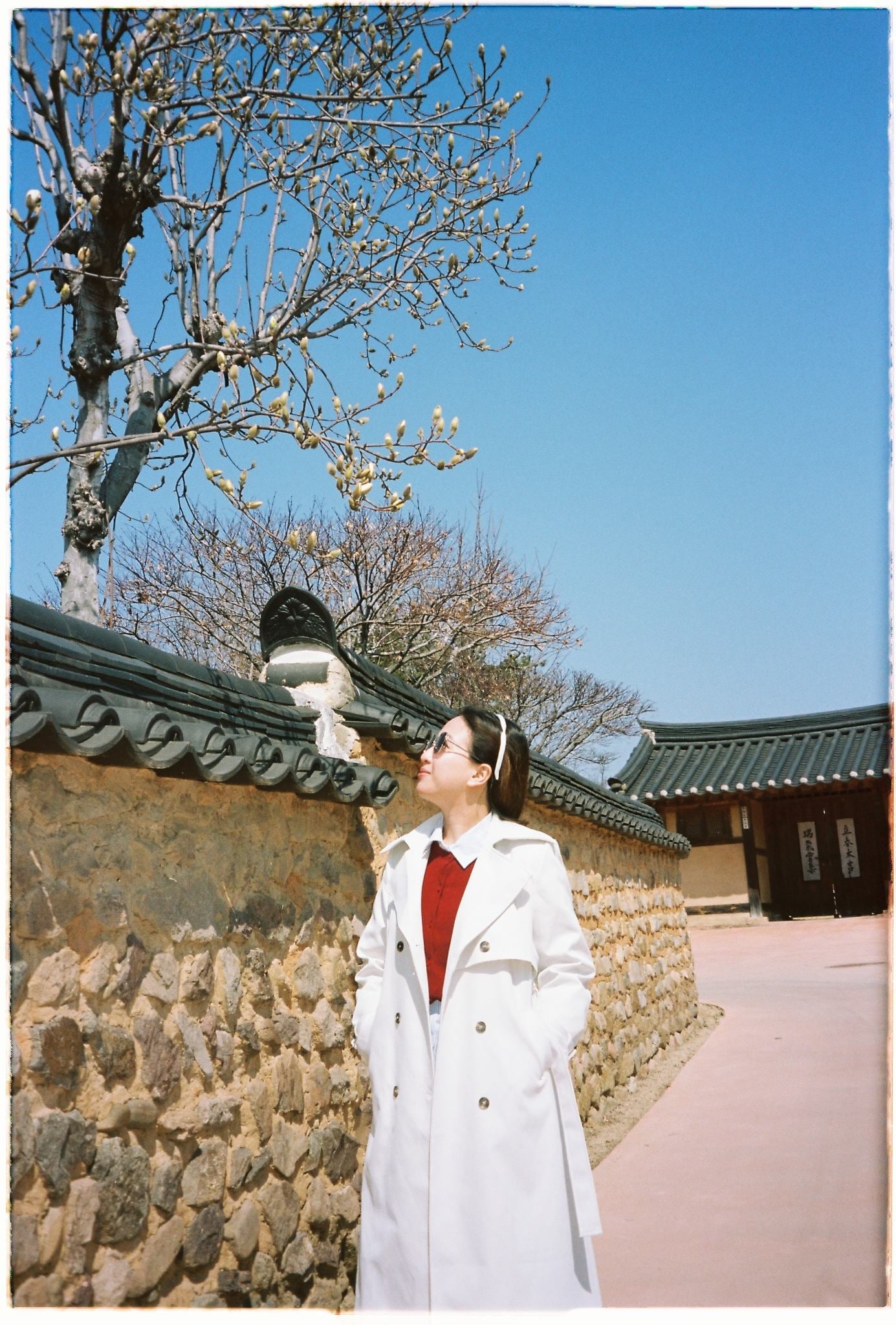 Kodak Portra 160, portra 160