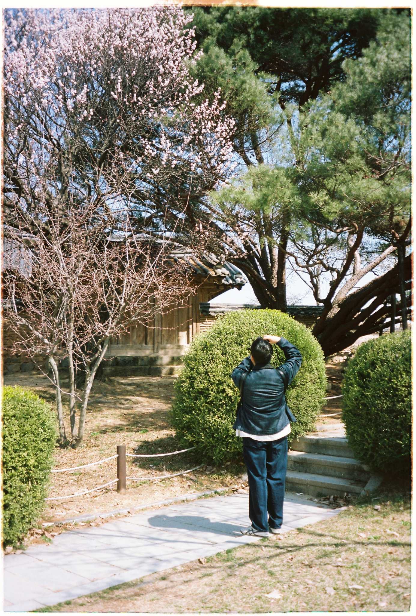 Kodak Portra 160, portra 160